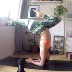 cours privés yoga paris the prune timetobloom